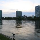 Mainufer Frankurt Skyline