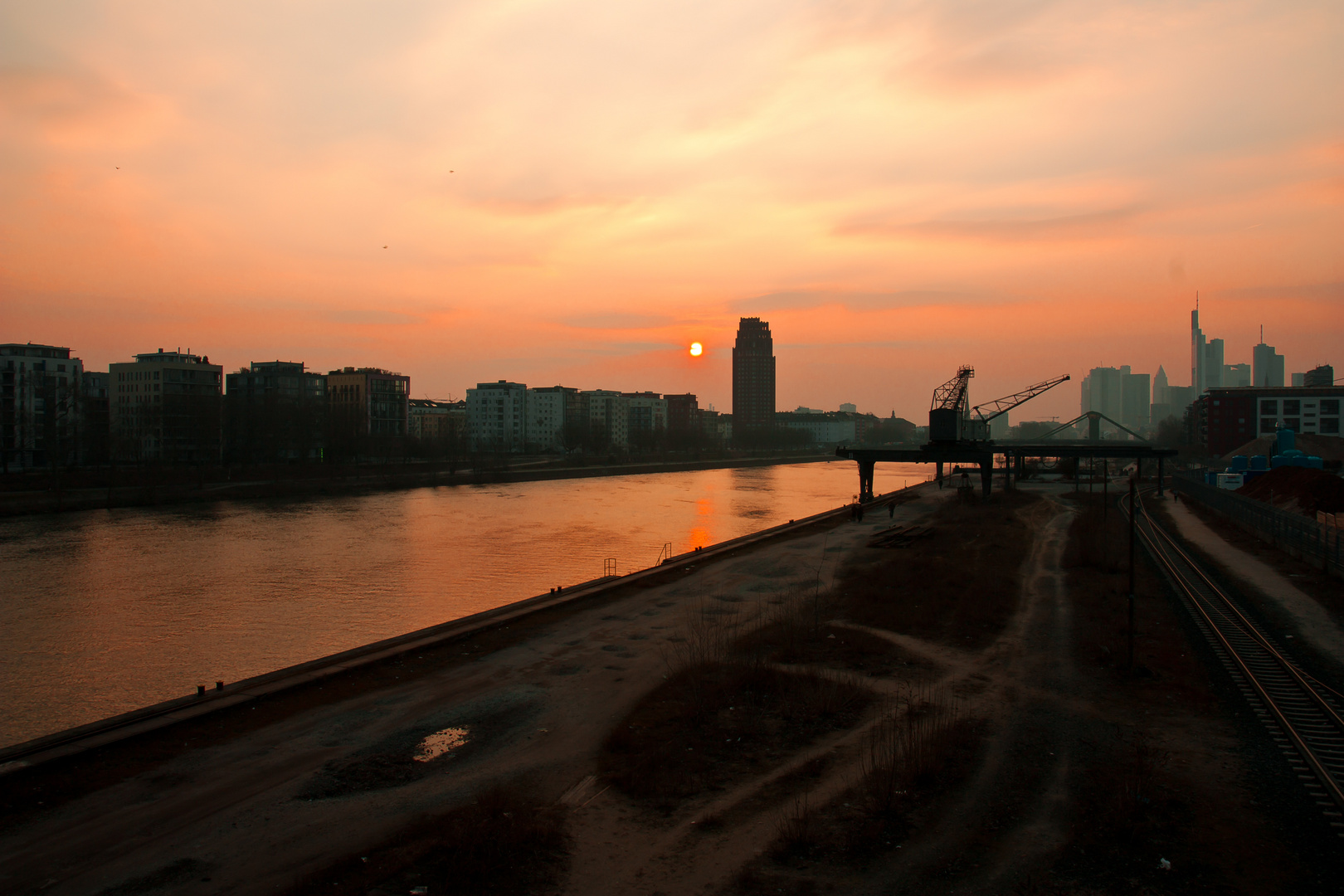 Mainufer in der Abendsonne