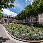 Mainz - Auf dem Schillerplatz Anfang Juli (2)