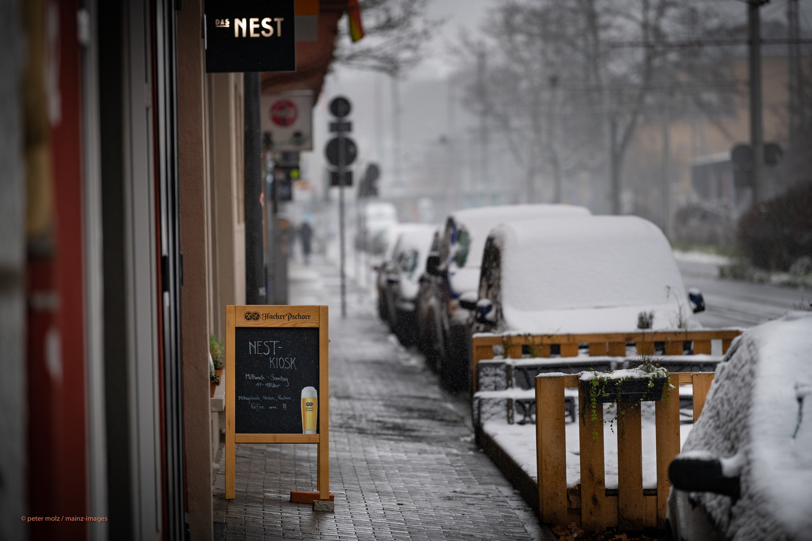 Mainz - Das Nest im Schnee