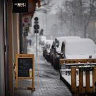 Mainz - Das Nest im Schnee