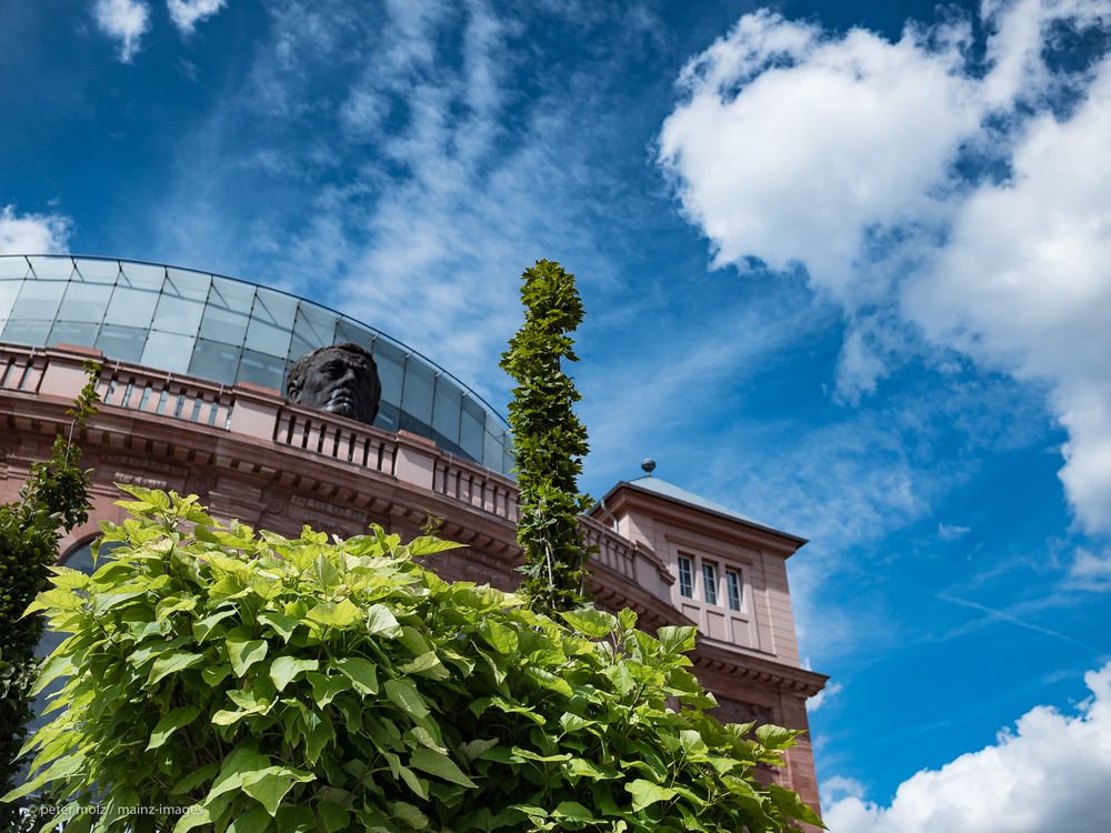 Mainz - Die Innenstadt könnte deutlich grüner werden! 