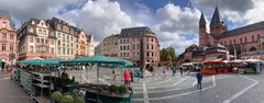 Mainz - Dienstagswochenmarkt auf dem Marktplatz