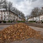 Mainz - Fast leergefegt