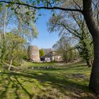 Mainz - Frühling am Drususstein in der Zitadelle