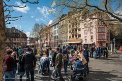 Mainz - Frühling auf dem Liebfrauenplatz (1)