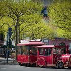 Mainz - Frühlingsgrün in der Ludwigstrasse