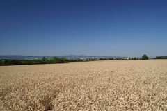 Mainz, ganz weit hinten