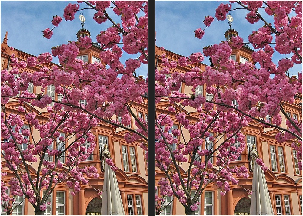 Mainz: Gutenberg Museum (3D-X)