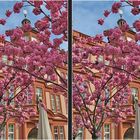 Mainz: Gutenberg Museum (3D-X)