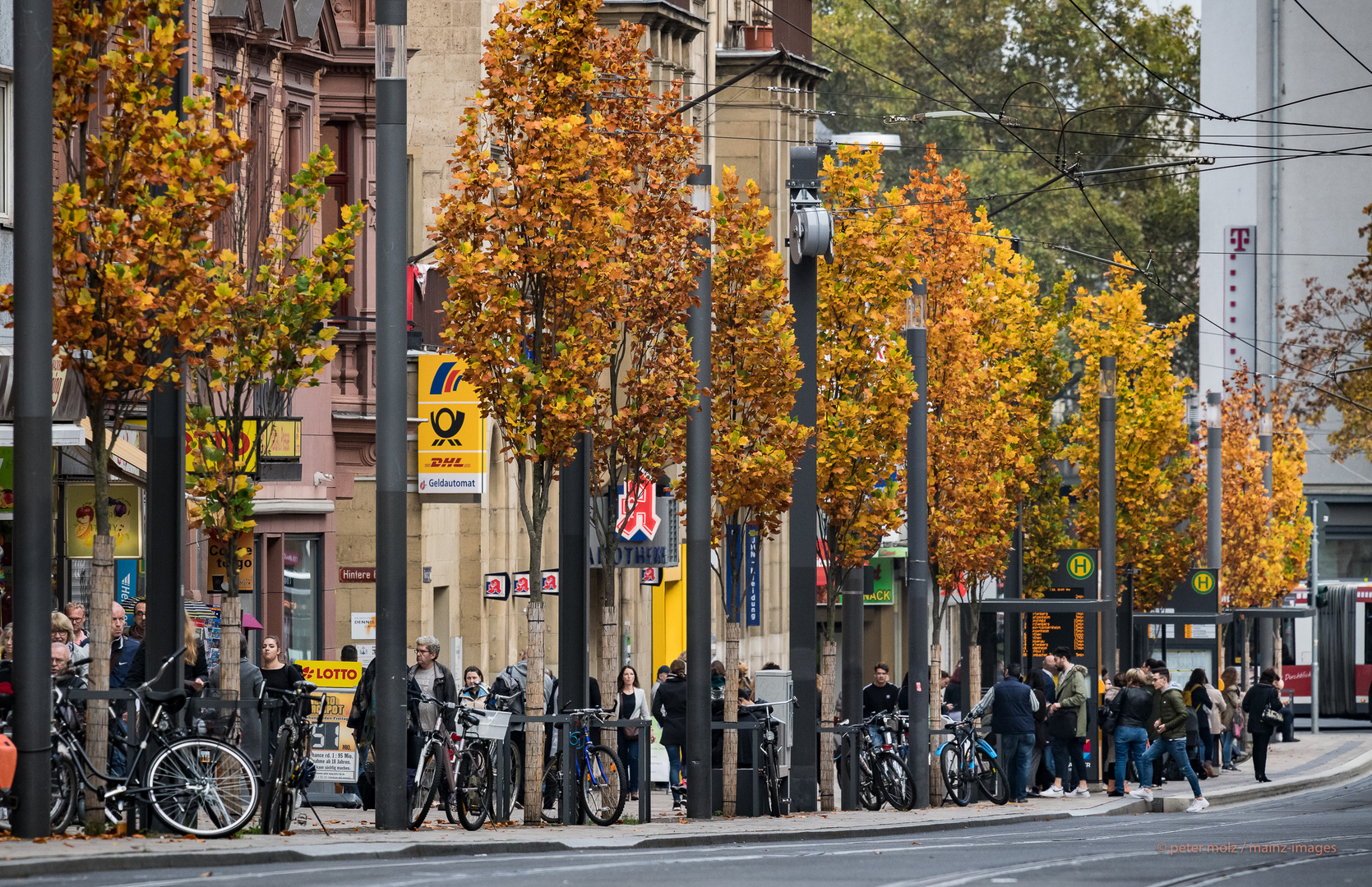 Mainz - Haltestelle in der Bahnhofstrasse im Herbst