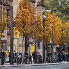 Mainz - Haltestelle in der Bahnhofstrasse im Herbst