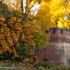 Mainz - Herbst an der Caponniere