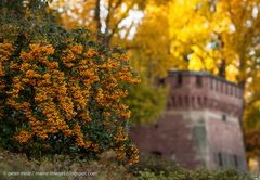 Mainz - Herbst an der Caponniere