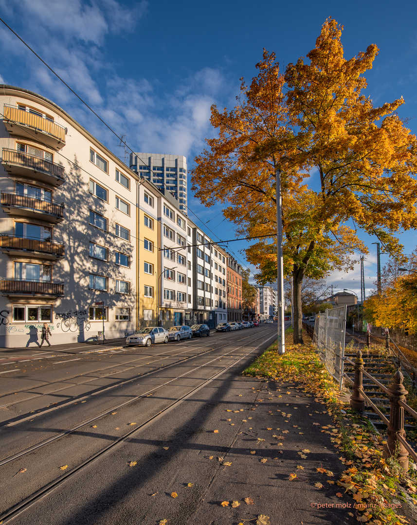 Mainz - Herbst im Kaiser-Wilhelm-Ring (2)  | November 2021