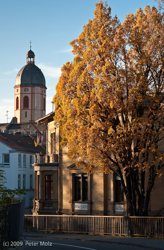 Mainz im Herbst 2009