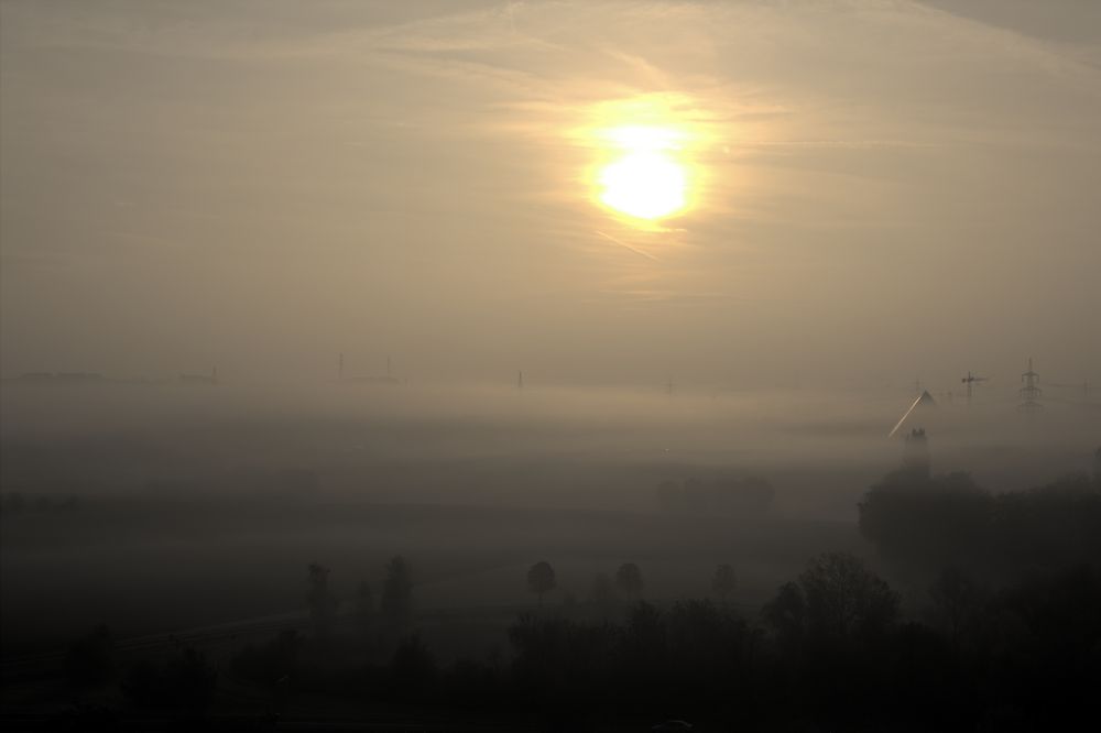 Mainz im Nebel by Thomas Samsel Mainz 