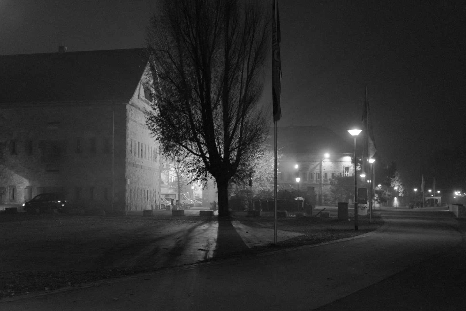 Mainz-Kastel, am Rheinufer