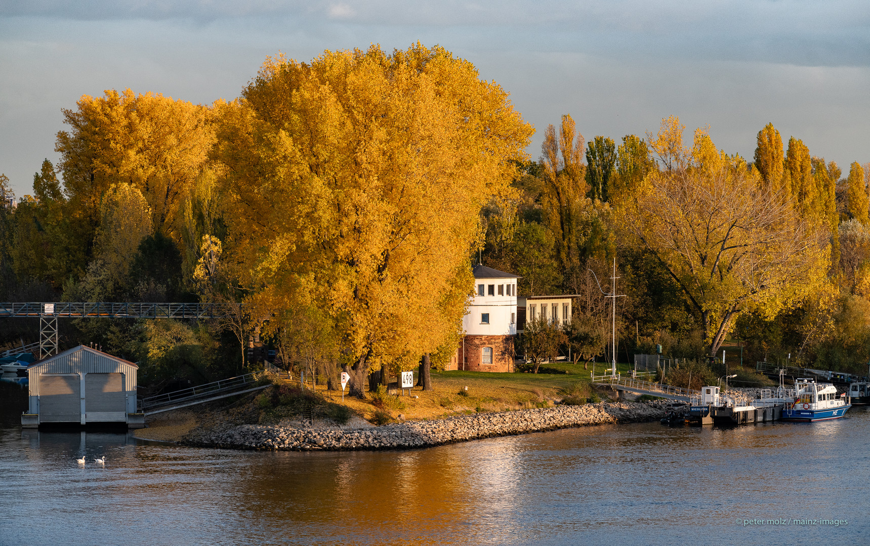 Mainz-Kastel  -  Herbstliches Farbenleuchten auf der Maaraue 