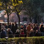 Mainz - Markt im Oktober