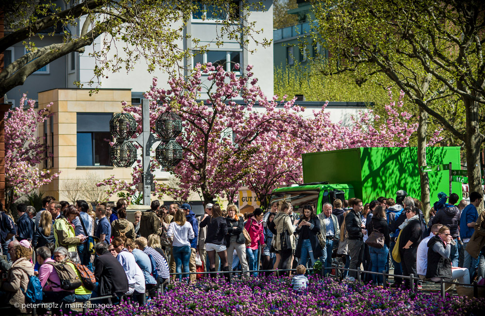 Mainz - Samstags auf dem Liebfrauenplatz