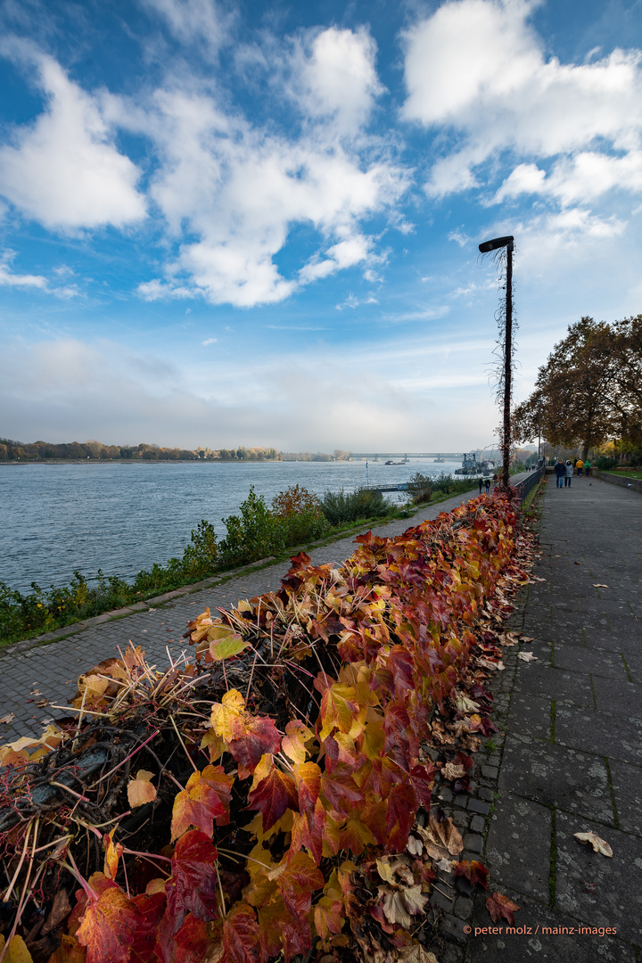 Mainz - Spaziergang am Rheinufer im Herbst