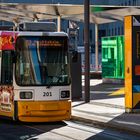 Mainz - Strassenbahn an Haltestelle Münsterplatz