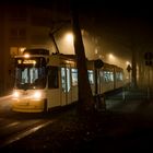 Mainz - Strassenbahn Linie 51 in der nebligen Mainzer Neustadt