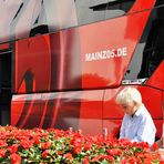 Mainz05 junge, rote Liebe