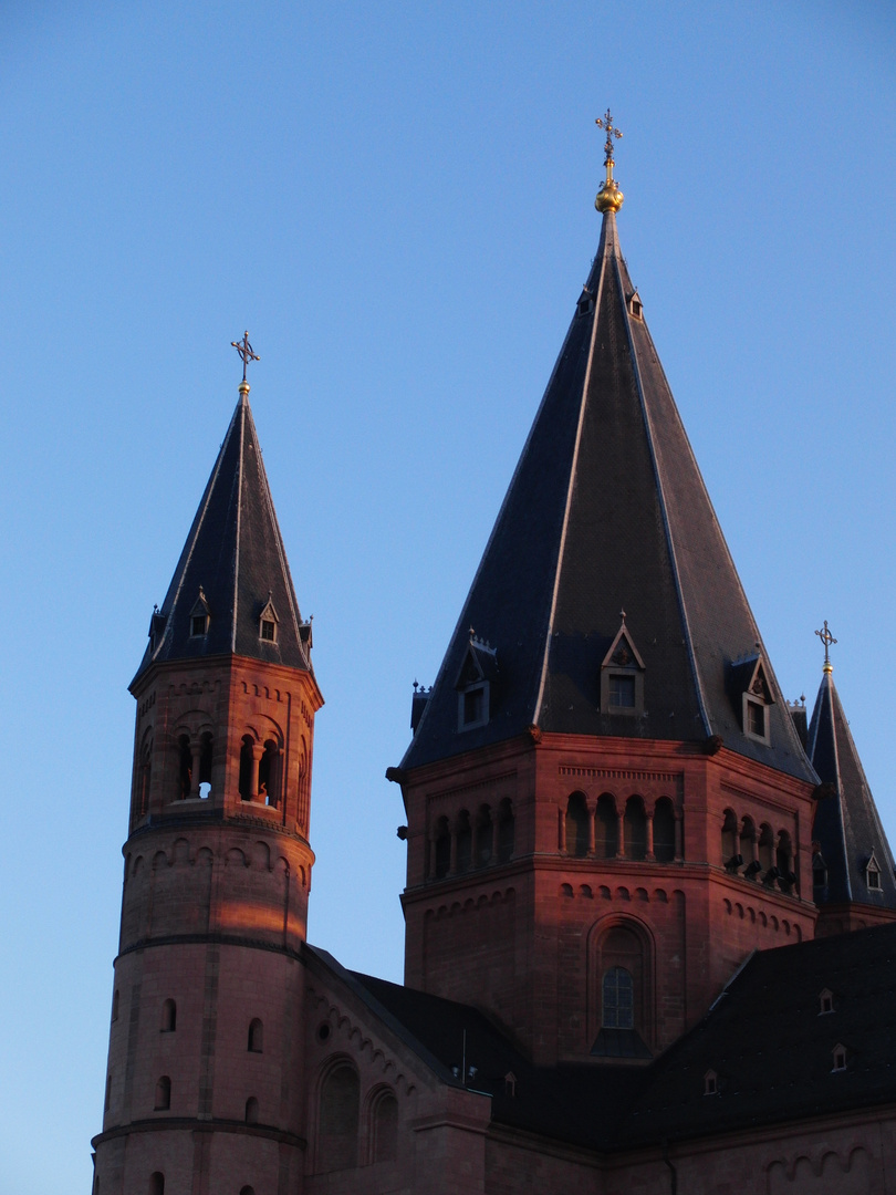 Mainzer Dom