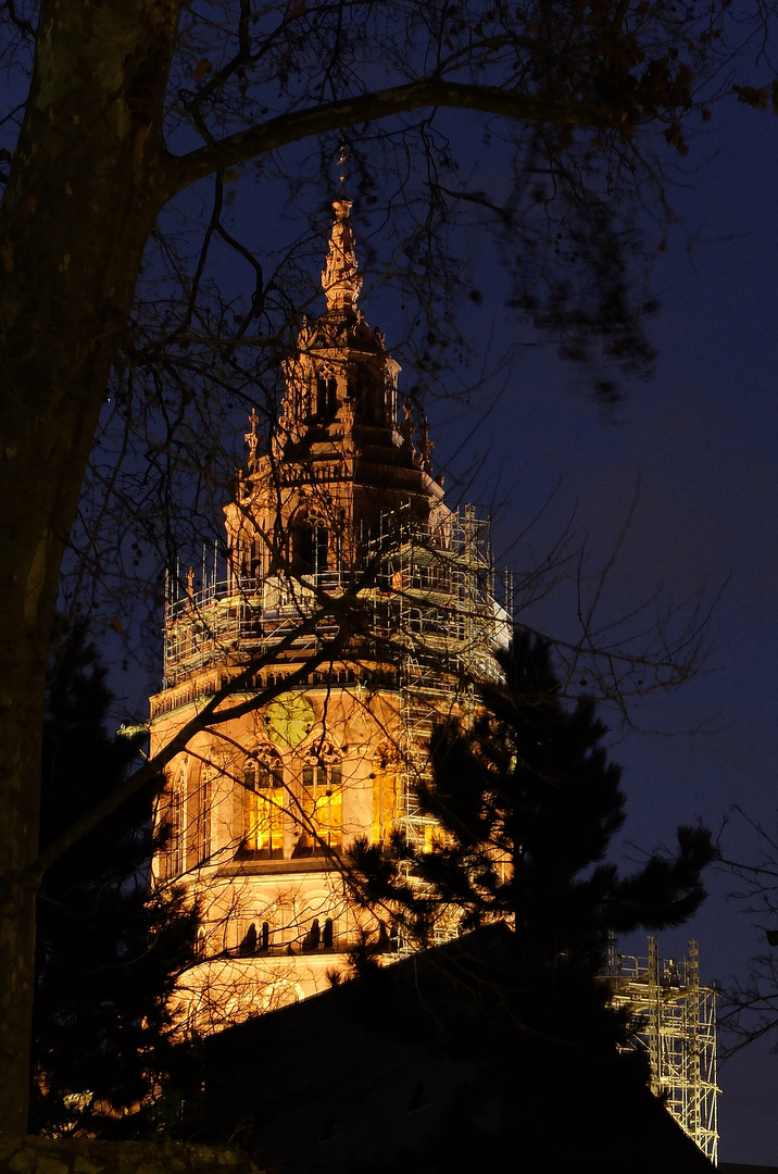 Mainzer Dom bei Nacht