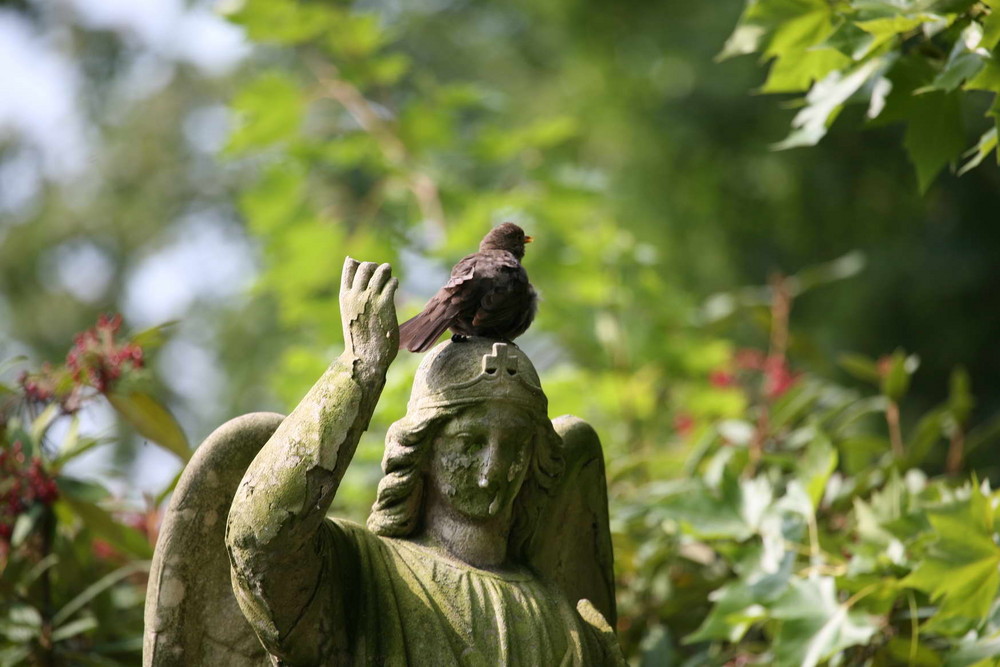 Mainzer Hauptfriedhof 192