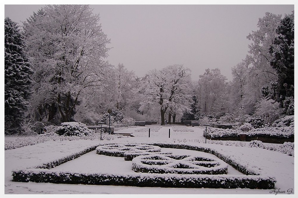 Mainzer Rad unter Schnee