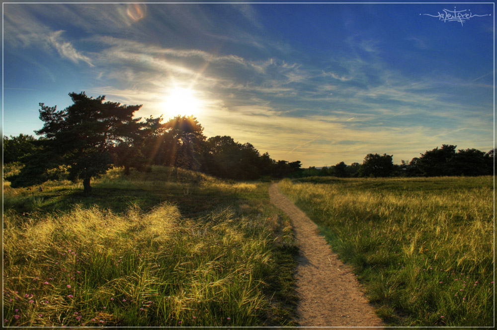 Mainzer Sand HDR