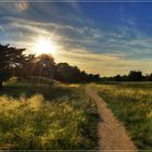 Mainzer Sand HDR