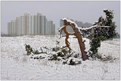 Mainzer-Sand im Schnee.