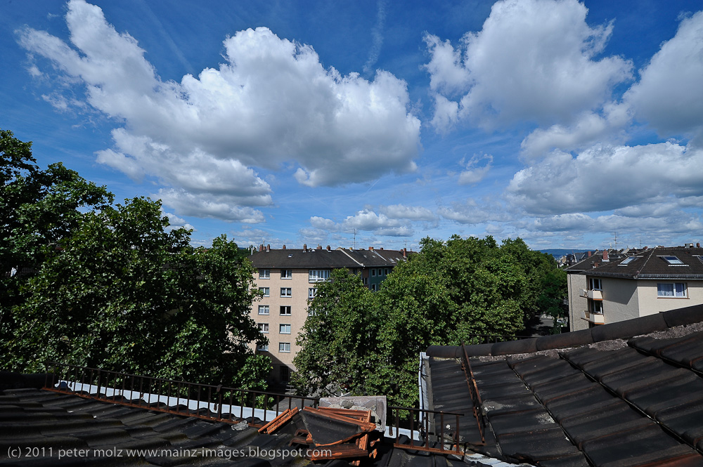 Mainzer Sommer / Mainz 2011