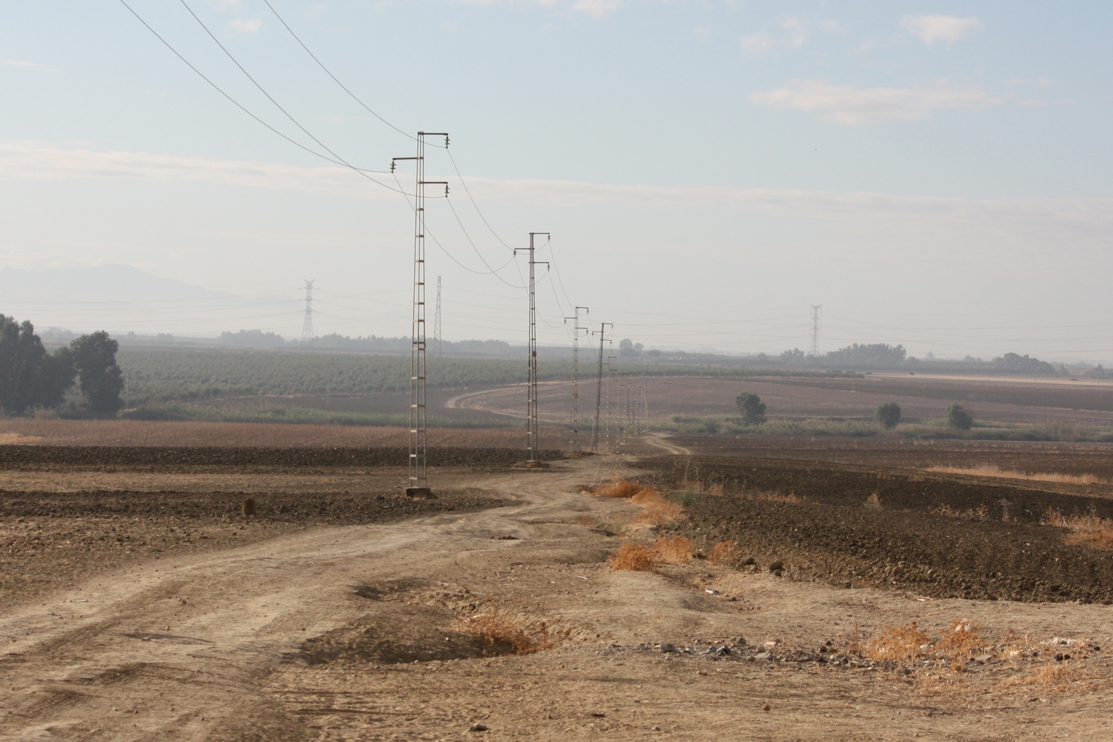 mairena del alcor entre fincas