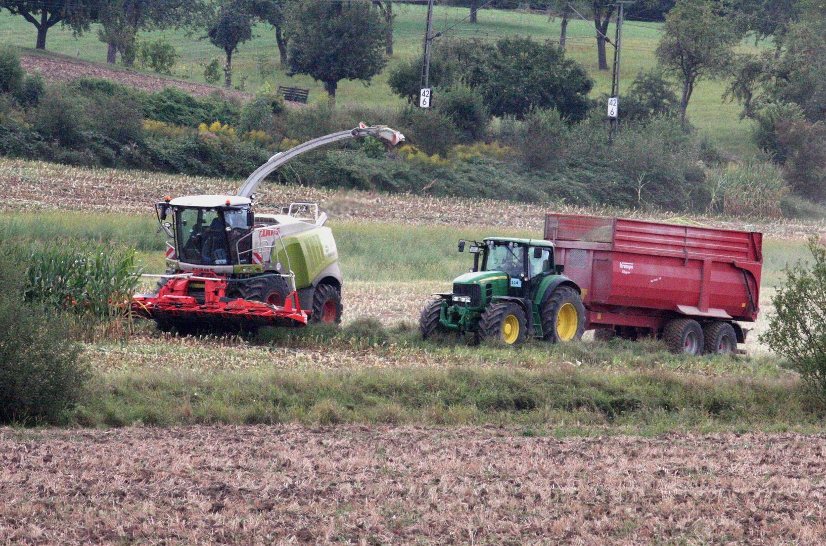 Mais Häckseln für die Biogasanlage (02.09.2012)