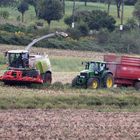 Mais Häckseln für die Biogasanlage (02.09.2012)