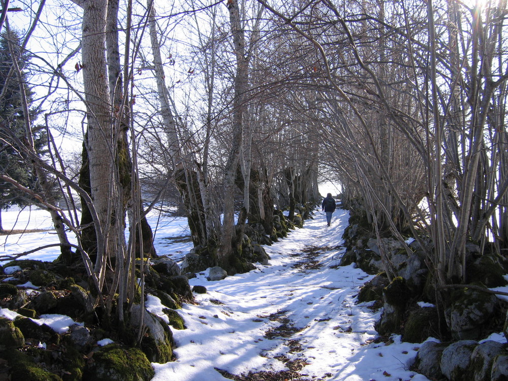 mais où méne ce chemin ?