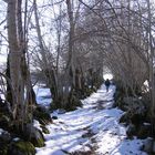 mais où méne ce chemin ?