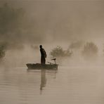 MAIS Où SONT LES POISSONS ?