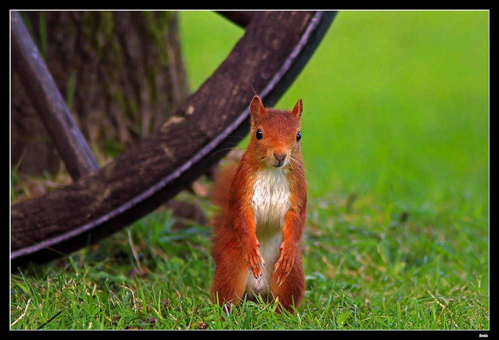 ...Mais qui observe l'autre..!?