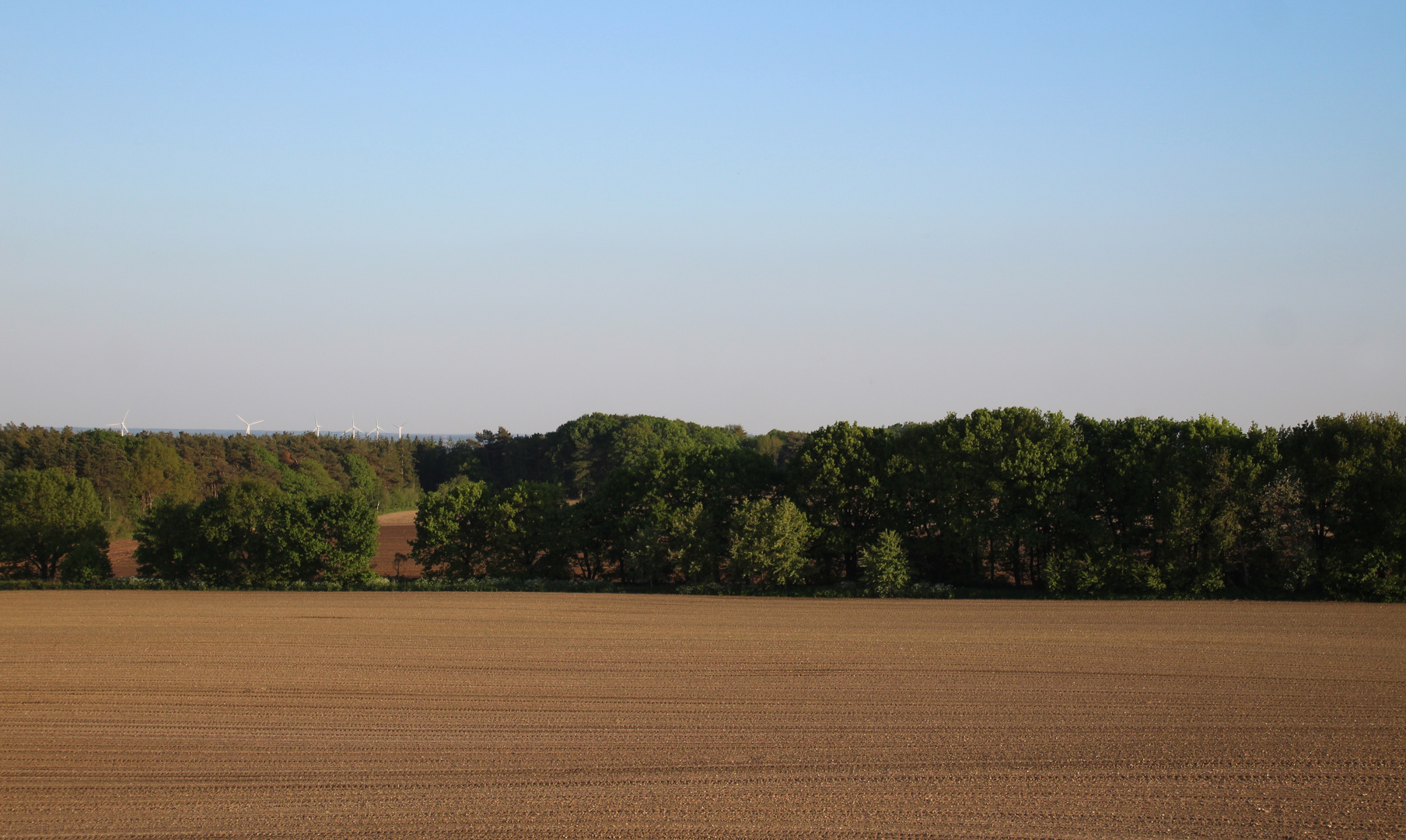  Maisacker am Bullenberg  ...