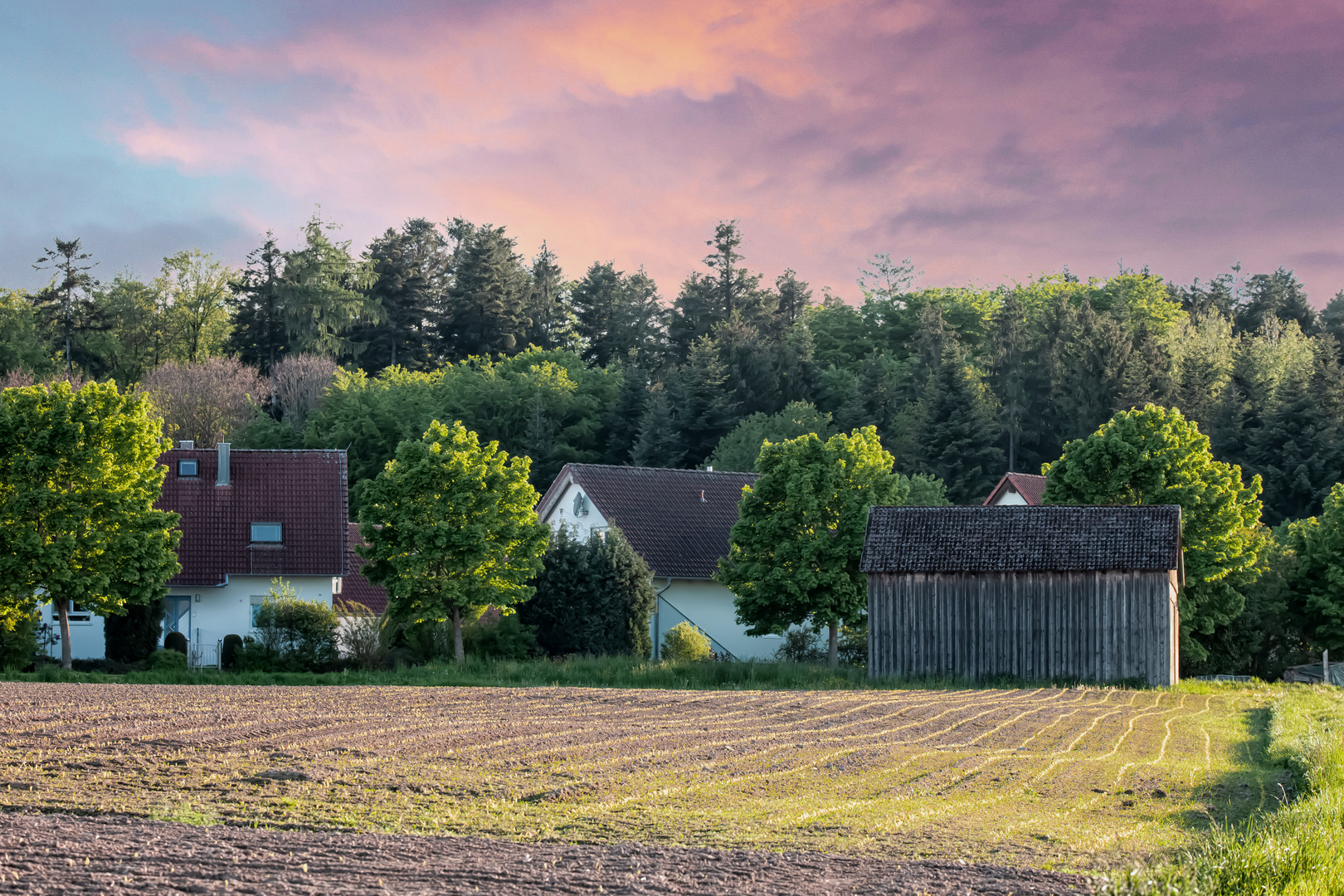 maisacker vor der Haustür