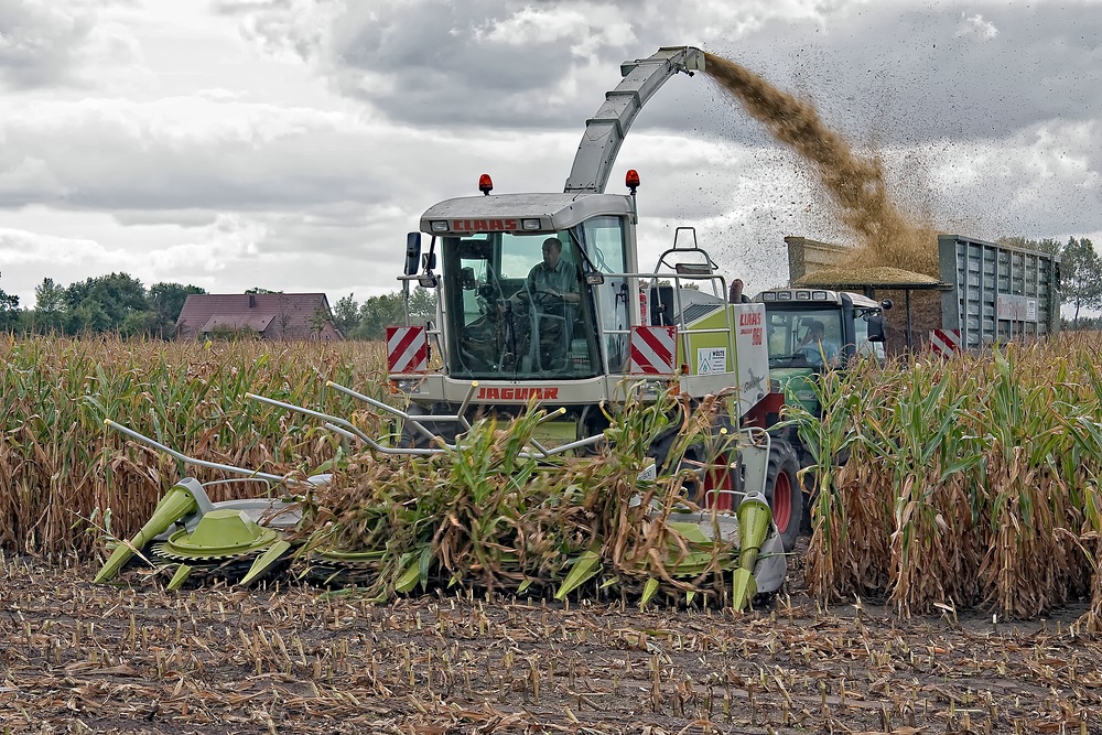 Maisernte 091 Foto & Bild industrie und technik