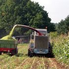 Maisernte 2008 In Franken; Ein Bild wie in den 80`gern