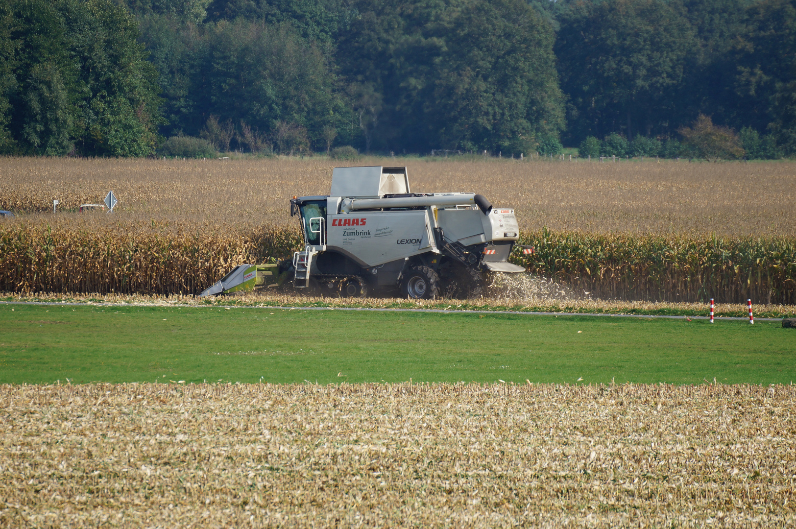 Maisernte in Harsewinkel mit CLAAS Lexion in Sonderlackierung