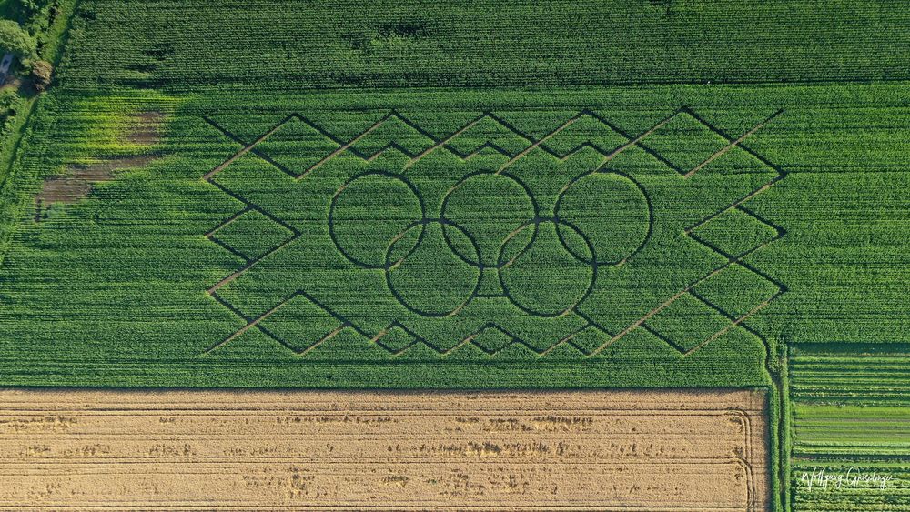 Maisfeld-Labyrinth in Oberding